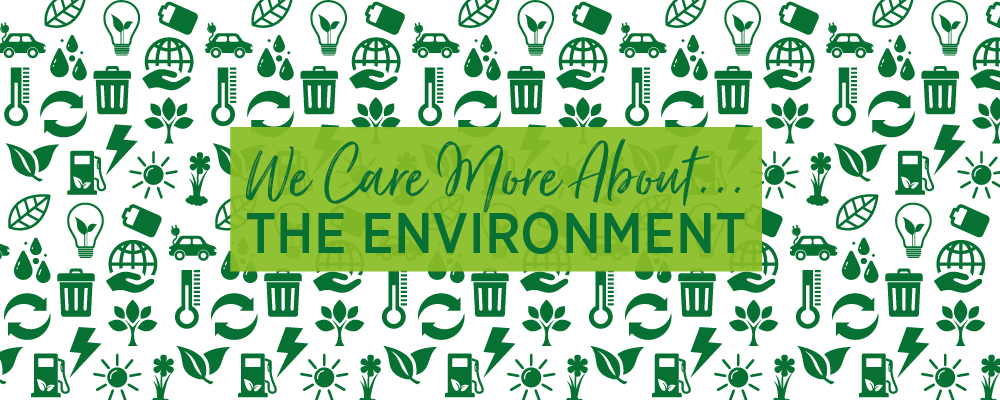 We Care More about the Environment