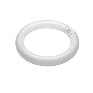 Luxo LFM/Daylight Economy/Brandon Optica 22W Cool White Bulb