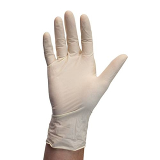 Latex Powder Free Gloves White (100)